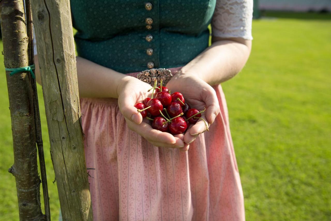 Obstgarten Gaestehaus Hollenstein an der Ybbs Luaran gambar